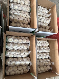 Tươi Tỏi Trắng Nhà Máy Bán Buôn 10Kg/20Kg Túi Lưới/Carton Trung Quốc Tỏi Nhà Cung Cấp Và Tươi Bóc Vỏ Tỏi Bán Buôn Xuất Khẩu - Product Image 6