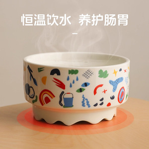 Heated Ceramic Cat Bowl With Non Slip Base For Pets 110 240V <b>Safe</b> Heating - Product Image 5