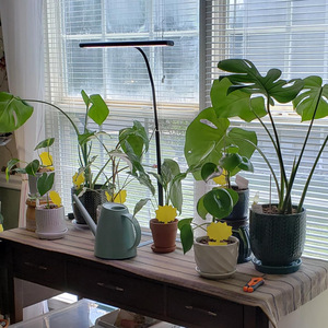 Lámpara LED de Espectro Completo para Cultivo, Mini Lámpara de Mesa para Plantas de 20W, de Aluminio, para Plantas Pequeñas, Suculentas, Pimientos, Balcón, Hogar - Product Image 1