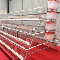 Nouvel équipement d'élevage avicole automatique : Système de poulailler moderne pour poules pondeuses, cage en batterie de type A pour poulets pondeurs, à vendre