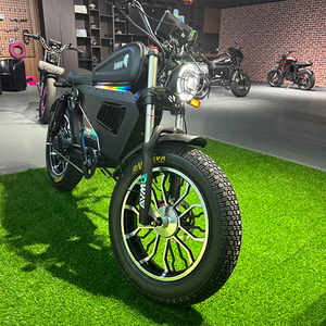 BW HIGHEST 60V50Ah BLACK WARRIOR ELECTRIC BIKE City EBike Fatbike Longue Portée pour Adultes STOCK USA/CHINE - Product Image 1