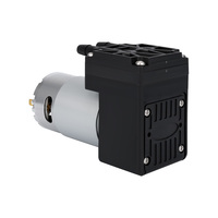 5V 12V 24V moteur à courant continu agriculture basse pression nourriture médicale beauté extérieure vide péristaltique diaphragme micro pompe mini pompe à air