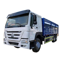 Truk Kargo Diesel Sinotruck Howo Bekas 6x4 RHD Heavy Duty 336hp dengan Kamera Belakang Dijual