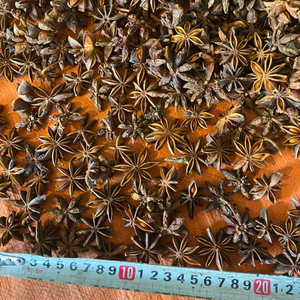 Hanfimex Anís estrellado natural orgánico AD Origen de Vietnam seco Venta caliente Fábrica al por mayor Hierbas de especias individuales crudas - Product Image 4