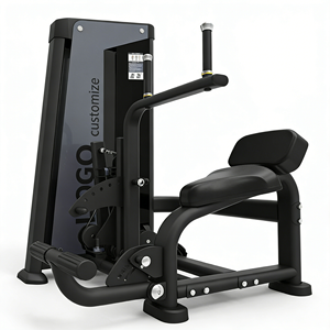 Коммерческий профессиональный тренажер для фитнеса: станок для разгибания/сгибания спины и пресса с отягощениями - Product Image 2