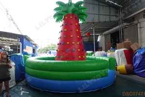 Chuyên nghiệp ngoài trời Inflatable đá leo cây dừa, thú vị Inflatable Rockwall, Inflatable leo tường cho thuê - Product Image 4