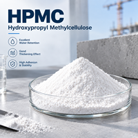 HPMC Hydroxypropylméthylcellulose Éther de cellulose pour additifs d'adhésifs à base de ciment pour carrelage, haute rétention d'eau, anti-affaissement