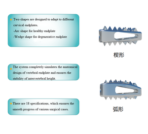 Rangka Fusi <span class=keywords><strong>Interbody</strong></span> Serviks, Berbentuk Wedge & Bentuk Busur - Product Image 6