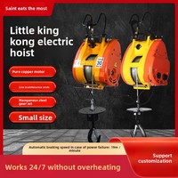 Palans électriques portables King Kong de petite taille, à double trou, avec télécommande, pour chantier de construction, 220V, vitesse de levage 19m/min
