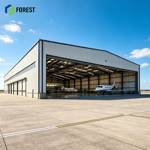 Hangar d'aviation en acier galvanisé haute résistance, terminal préfabriqué à portée libre pour l'entreposage d'avions - Product Image 1