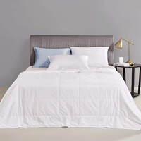 Usine en gros soie été couette luxe respirant 100% soie de mûrier remplissage soie couette couverture