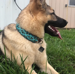 Accesorios para Mascotas, Collar Táctico Trenzado para Perro con Flechas en Movimiento, Hecho a Mano en Plata y Verde Azulado, con Hebilla de Liberación Rápida - Product Image 5