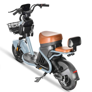 Le modèle le plus vendu de 500 watts est équipé de batteries au plomb-acide de 48 volts, de moteurs sans balais et d'une batterie interne. - Product Image 6