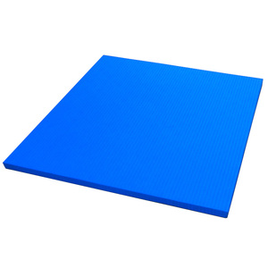 Colchoneta <span class=keywords><strong>de</strong></span> Entrenamiento Ligera y Plegable, Fácil <span class=keywords><strong>de</strong></span> Transportar y Guardar, Impermeable, para Exteriores, Locales Temporales, Judo, <span class=keywords><strong>Artes</strong></span> <span class=keywords><strong>Marciales</strong></span>, Ejercicio - Product Image 6