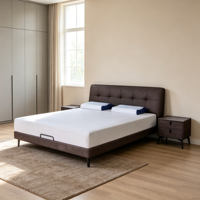 Lit Minimaliste Ajustable en Métal avec Revêtement en Cuir Véritable, Design Ultra-Simple, Durable, Écologique, S'adapte à la Décoration Moderne de la Maison