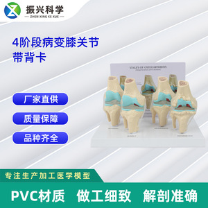 4 - Product Image 5