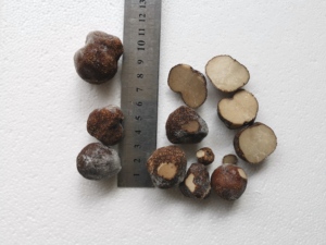 DETAN Wild Chinese Frozen Black Truffle <span class=keywords><strong>Precio</strong></span> - Product Image 3