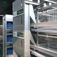 Équipement d'élevage avicole automatique, cage à poules pondeuses de type H à 3/4/5/6/8 niveaux avec système de collecte automatique des œufs pour 50 000 oiseaux