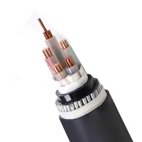 Cable de Energía Industrial Blindado XLPE LSZH 0.6/1kV, Cobre Libre de Oxígeno, Estándar IEC para Estaciones de Energía, Fabricante OEM