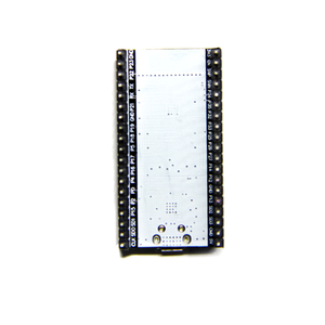 Module sans fil ESP32 ESP-WROOM-32 CP2102 38 broches Type-C/Micro, carte de développement 2,4 GHz Wi-Fi Bluetooth 38 broches WROOM32 - Product Image 6