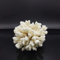 Spécimen de corail blanc naturel, pierre de quartz brute en forme de flamme, marque YunYang, pour l'art et la décoration de fêtes