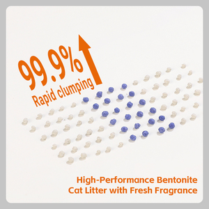 RTS Bentonite kedi kumu 99% koku kontrolü düşük toz yüksek topaklanma kediler için hassas ciltler için biyobozunur hipoalerjenik - Product Image 2