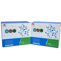 Kit de recherche ELISA pour la protéine humaine Agouti-Related Protein (AGRP)