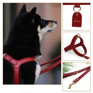 Ensemble laisse et collier pour chien en cuir personnalisé, accessoires en métal doré, collier pour chien en cuir synthétique/végétalien avec clous, noir, rose, rouge - Product Image 3