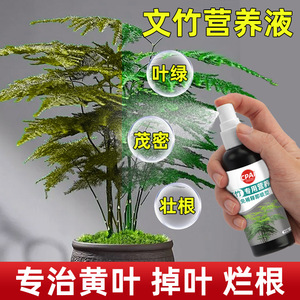 Solution nutritive pour fougères et asperges Cpai 100 ml prête à pulvériser pour plantes d'intérieur - Product Image 2