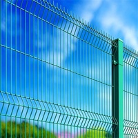 Hoge Kwaliteit Pvc-Gecoate Stalen Frame 3d Cover Gelaste Gaas Veiligheidshek Boerderij Sportpoort Lage Rail Hek