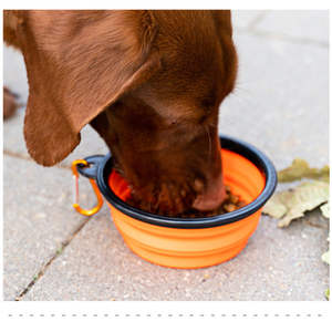 Botol air dapat dilipat portabel, wadah makanan anjing mangkuk hewan peliharaan & pengumpan aksesoris anjing berkemah luar ruangan 350ml mangkuk hewan peliharaan silikon - Product Image 4