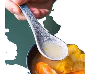 Cucharas Japonesas de Porcelana para Sopa Ramen, Marca Ecológica Japandi para Fideos Asiáticos, Udon, Pho, Arroz y Salsas - Product Image 4