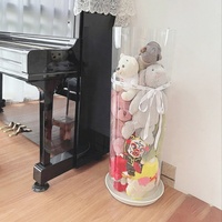 Boîte de rangement personnalisée en carton PET transparent pour poupées et jouets en peluche, de haute qualité, aseptique, étanche à l'eau et à la poussière, avec finition dorée et vernis mat