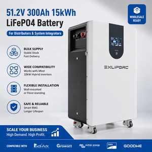 51.2V 300Ah 15kWh Home LiFePO4 <b>Battery</b> | Bulk Solar Storage for Distributors Wall Floor Mount 10kW Inverter Compatible - Product Image 1