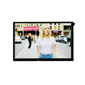 Customizable Touch <strong>Panel</strong> 10.1 Inch 1920*1200 High Brightness 1000nits <strong>LCD</strong> Module Industrial IPS TFT LVDS Industrial <strong>LCD</strong> <strong>Display</strong> - Product Image 6