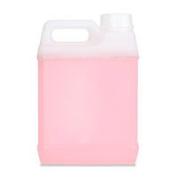 Liquide à base d'eau pour machine à fumée 2L pour machine à fumée à faible hauteur