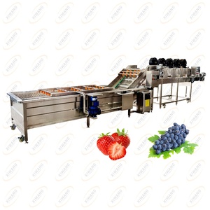 Máquina Comercial Automática de Acero Inoxidable para Lavar Frutas y Verduras para Plantas de Procesamiento de Vegetales, Capacidad de 500-700 KG/H, Nueva - Product Image 5