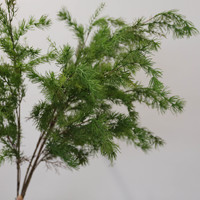 Susunan Tanaman Asparagus Fern Plastik Sutra Mirip Asli untuk Dekorasi Lantai, Desain Floral Bergaya Alami untuk Dalam/Luar Ruangan, Cocok untuk Pajangan Toko