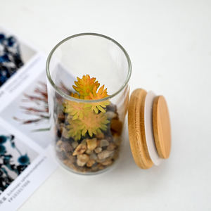 <span class=keywords><strong>Terrarium</strong></span> Vase en verre transparent miniature de 11cm avec fausses succulentes pour décor de table et faveurs de mariage en vrac - Product Image 4