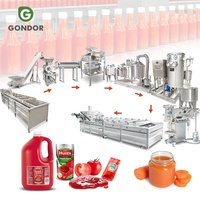 Ligne de production de pâte de tomate et de ketchup