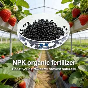 Engrais pour l'amélioration des sols, engrais granulaire organique à base d'algues avec acide humique et acides aminés - Product Image 5