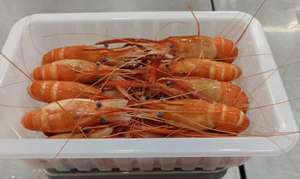 Langostinos Gigantes Enteros Cocidos Congelados Sin Sazonar <span class=keywords><strong>de</strong></span> China, Buen <span class=keywords><strong>Precio</strong></span>, Langostinos <span class=keywords><strong>de</strong></span> Buena Calidad - Product Image 3