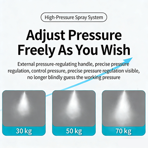 DaringFish Machine à brouillard haute <span class=keywords><strong>pression</strong></span> 300W 1L 60 bars 860 PSI, système <span class=keywords><strong>de</strong></span> pompe à eau <span class=keywords><strong>pour</strong></span> brumisation <span class=keywords><strong>de</strong></span> jardin - Product Image 6