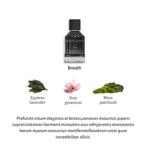 Eau de Parfum Classique pour Homme Cèdre Lavande Mousse Ingrédients Herbacés Naturels Parfum Vente en Gros OEM - Product Image 3