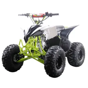 125cc 110cc 200cc 250cc 400cc 500cc 800cc 4X4 Atv Dubbel Vierwieler All-Terrain Vierwielige Strandbuggy Berg Atv