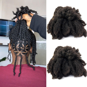 Extensions de Cheveux Bouclés Crépus Afro <span class=keywords><strong>Lock</strong></span>, Cheveux Humains à Tresser 4B 4C, Vrac Brésilien pour Tresses Crochetées Noir Naturel - Product Image 1