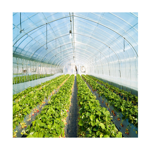 Invernadero Sinok, Cultivadores de Vegetales, Sistema Hidropónico, Agricultura Inteligente, Invernadero - Product Image 4