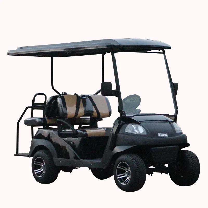 Veicolo elettrico utilitario Golf Cart 4 posti Golf Cart all'ingrosso Pp guscio di vetro temperato di lusso CE 220V prezzi Golf Car Essence