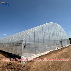 <span class=keywords><strong>Serre</strong></span> en film plastique pour l'agriculture maraîchère avec filet anti-insectes et système de ventilation - Product Image 5