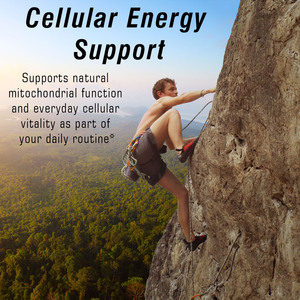 Customizable NAD+ Softgels with Urolithin A Betaine Cell Vitality Support Vegan Antioxidant <b>Supplement</b> Softgels - Product Image 5